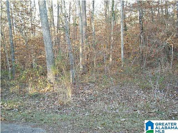 3rd image of 513 Black River Dr