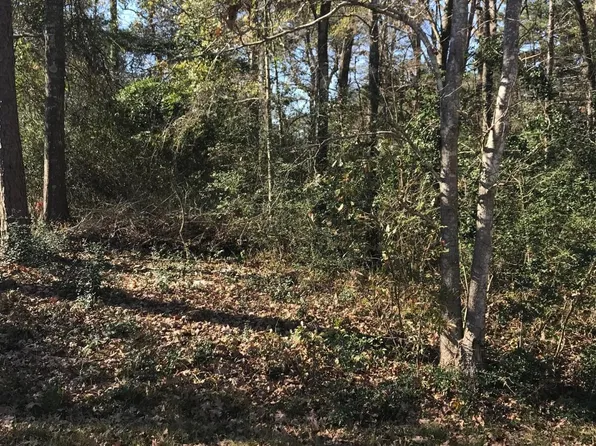 0 Skylane Dr, Montgomery, TX 77316