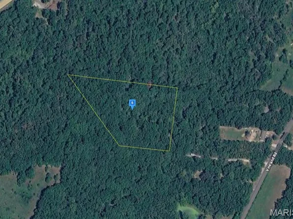 13821 Vineland Rd, De Soto, MO 63020