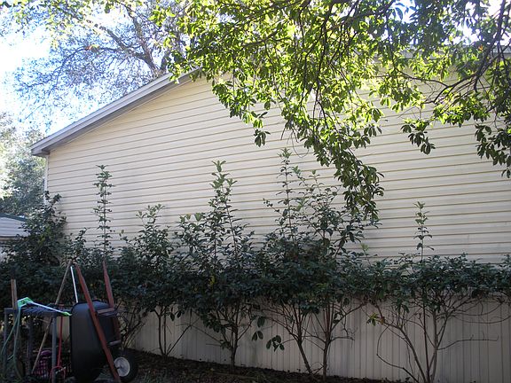 back of the home