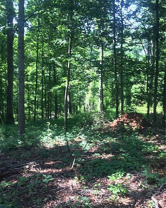 2nd image of 6418 Cajitoma Dr Lot 129