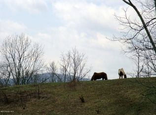 5904 Via Mora Rd, Radford, VA 24141