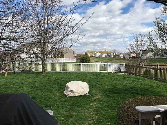 Back Yard (pond view)