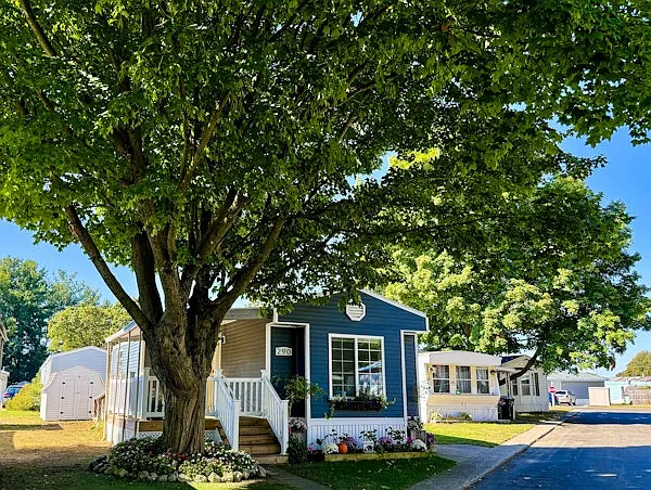Freeland — Photo 3