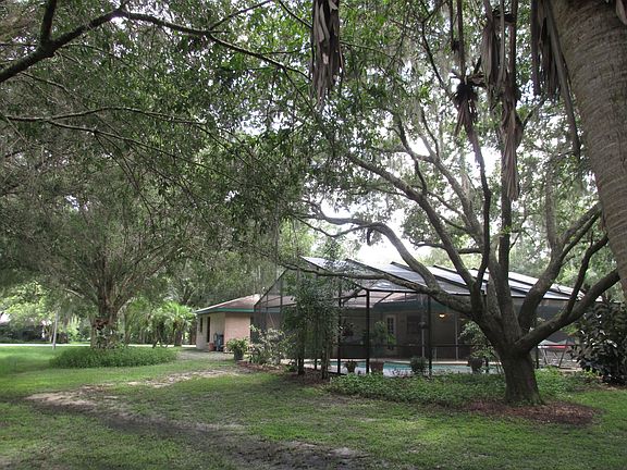 Beautiful Mature Oaks