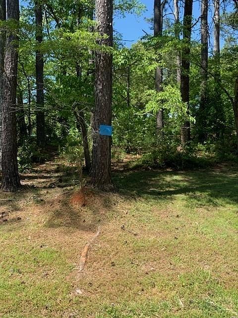 2nd image of 0 Tatum Rd #1