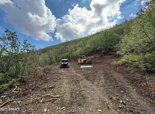 0 E Lincoln Ridge Rd, Crown King, AZ 86343