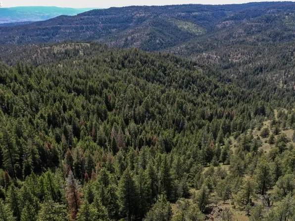 Belshaw, Mount Vernon, OR 97865