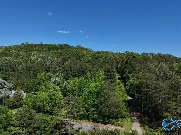 42584 Us Highway 11, Valley Head, AL 35989