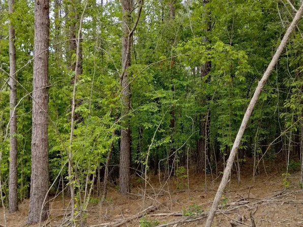 (undisclosed Address), Glenwood, AR 71943