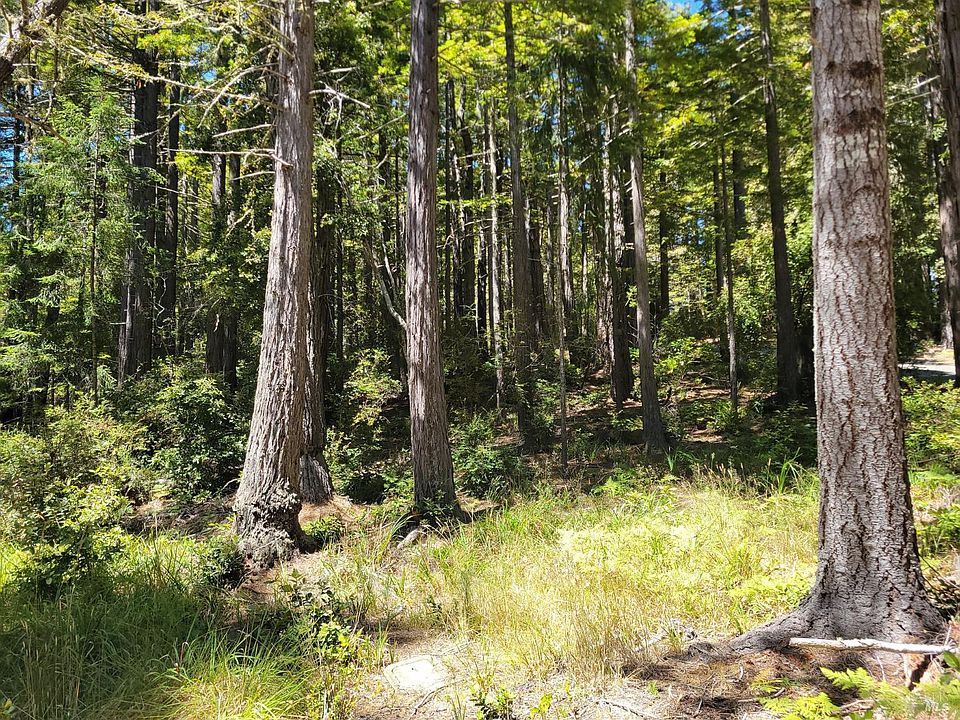 1st image of 35136 Timber Ridge Road