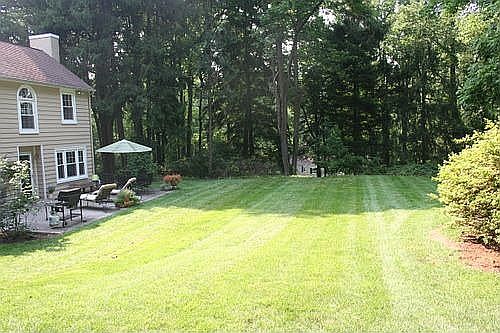 back yard