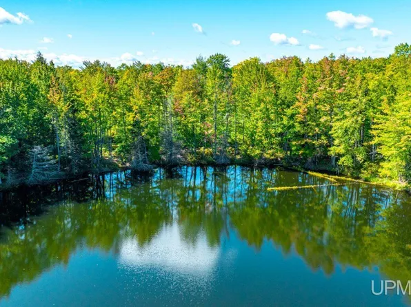 Horseshoe Rd, Chassell, MI 49916