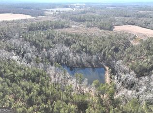 1671 County Line Rd E, Gibson, GA 30810