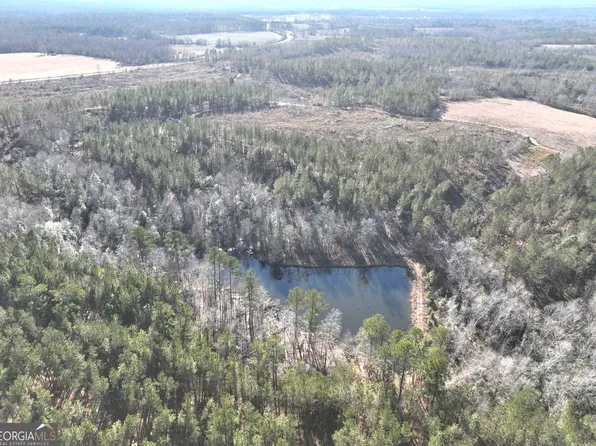 1671 County Line Rd E, Gibson, GA 30810