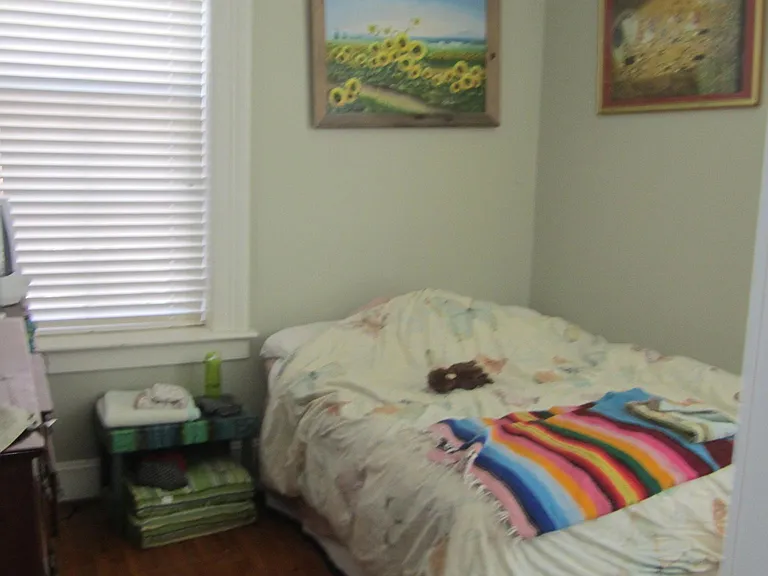 338 W Freemason St #2 — Photo 9