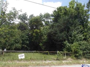 406 Chestnut St, Darlington, SC 29532