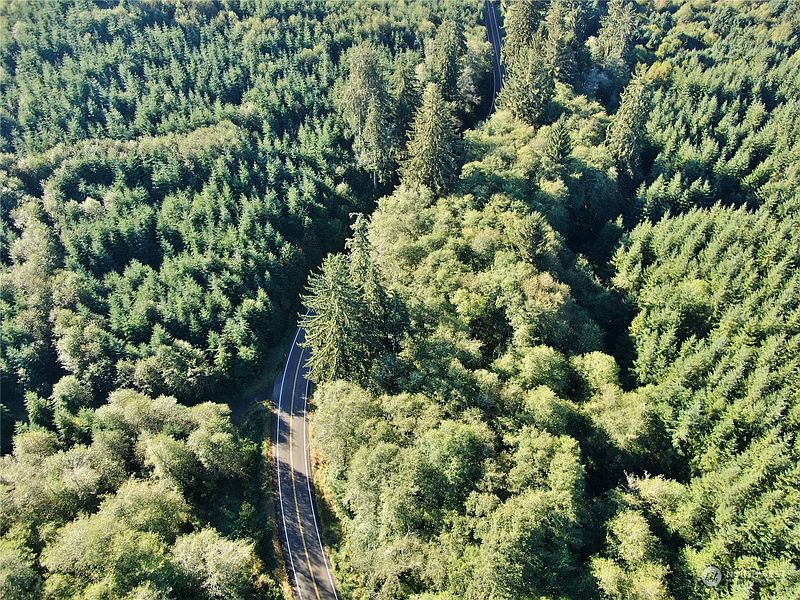 4th image of 0 NKA Butte Creek Road