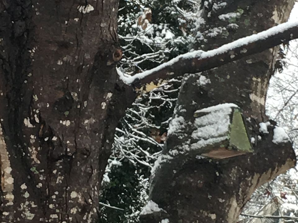 1st image of 1608 Fair Oaks Ln