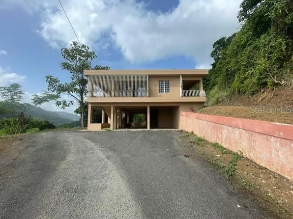Barrio Nuevo Carr 815 Km #4.0, Naranjito, PR 00719