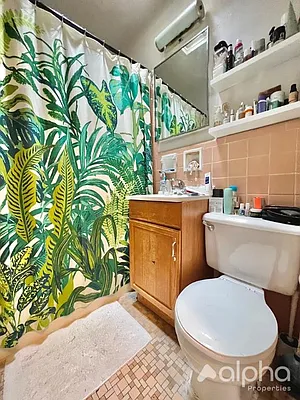 Rented by Alpha Properties NYC I LLC | media 5