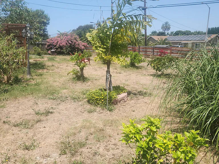 Front yard