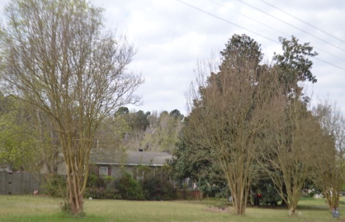 2nd image of 3511 Edison Ave
