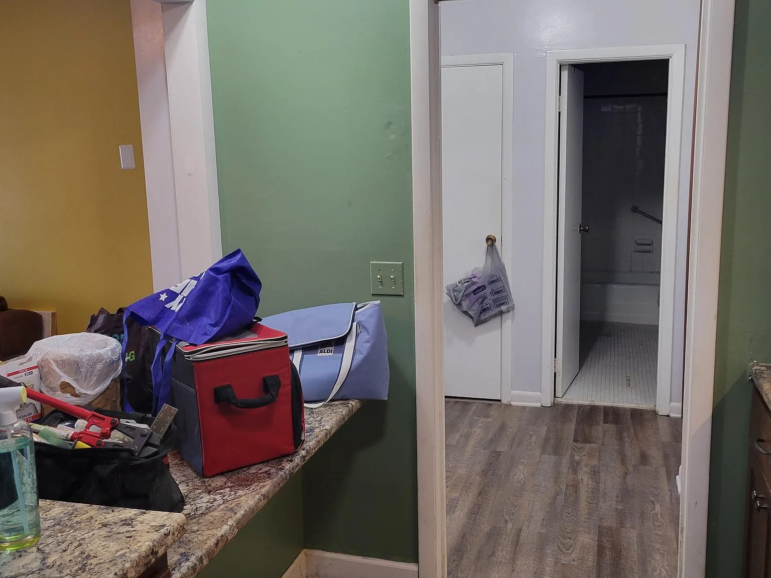 1 bed, 729 sqft, $1,250 — Photo 3
