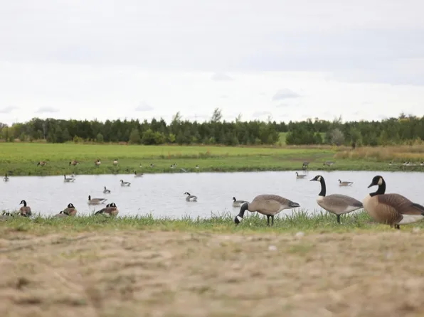 Two Rivers Rd, Fergus Falls, MN 56537