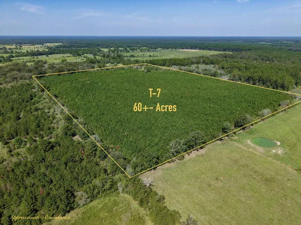 Pid 32385 Fm 844, Huntington, TX 75949