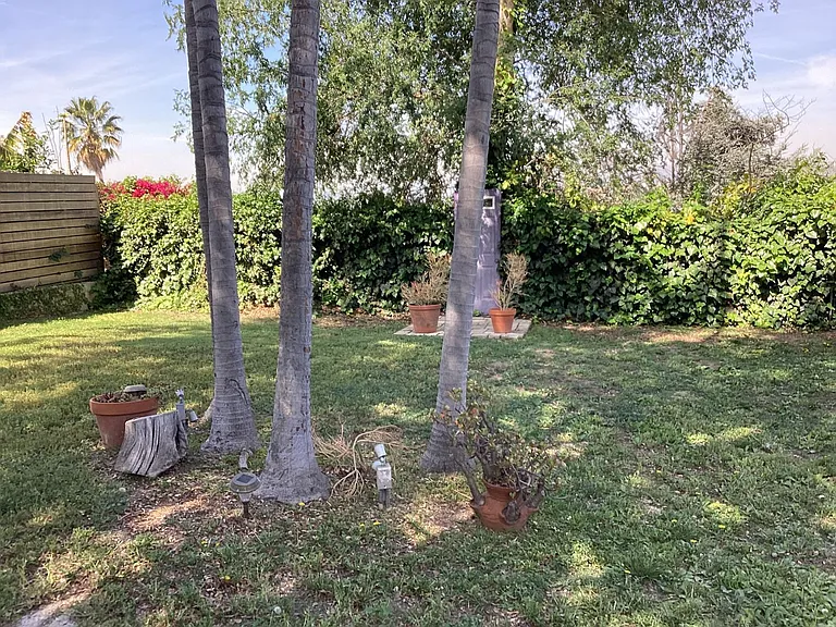 1125 Pagoda Pl — Photo 10