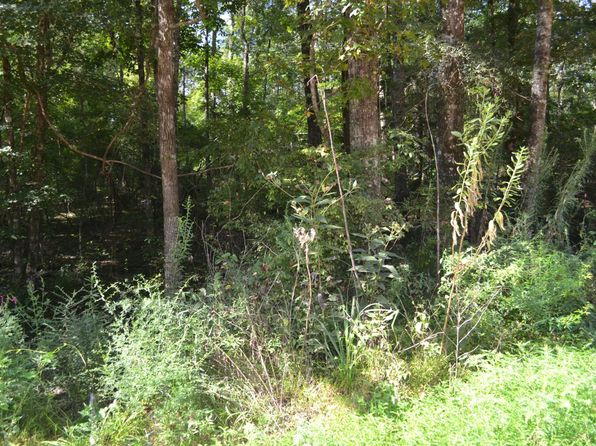 335 Wallis Dr, Highland Home, AL 36041