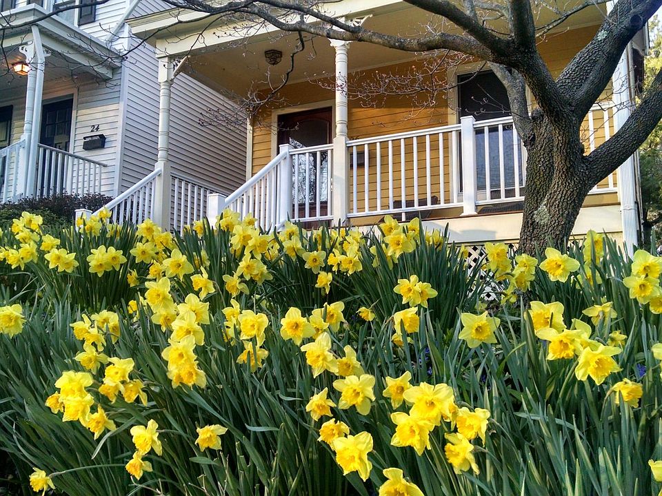 House view from sidewalk in April