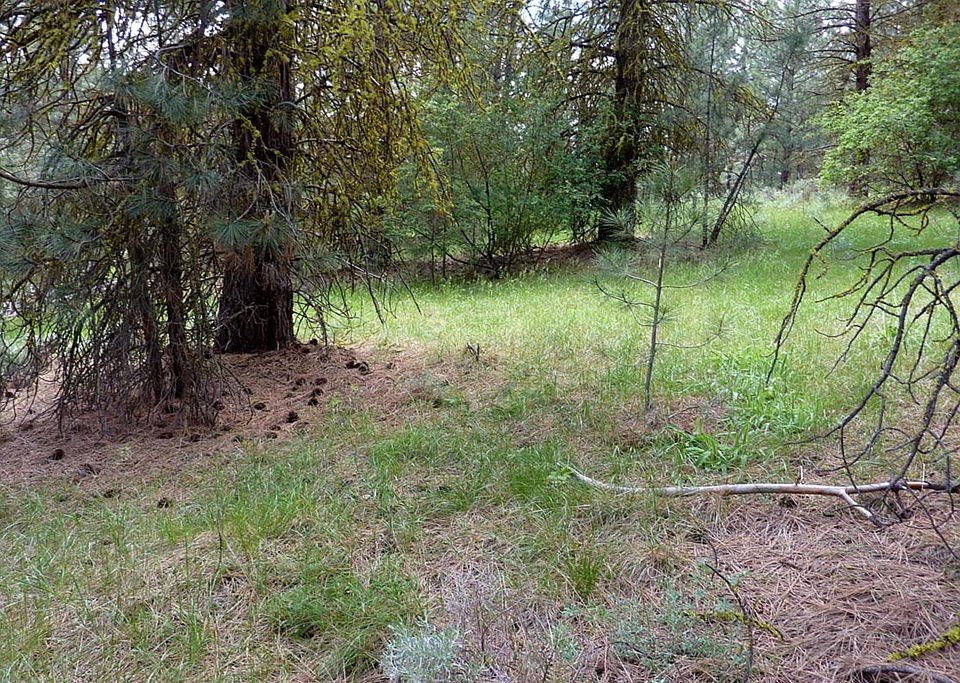 2nd image of 162 Pine Valley Dr