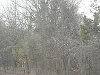 1st image of 1420 State Highway 47
