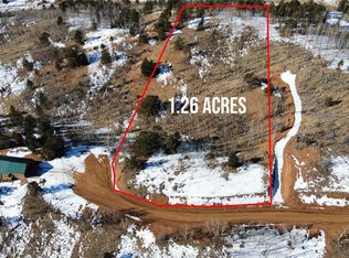 177 Golden Cycle Ct, Cripple Creek, CO 80813