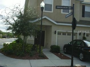 9911 Serona Bluff Way, Tampa, FL 33619