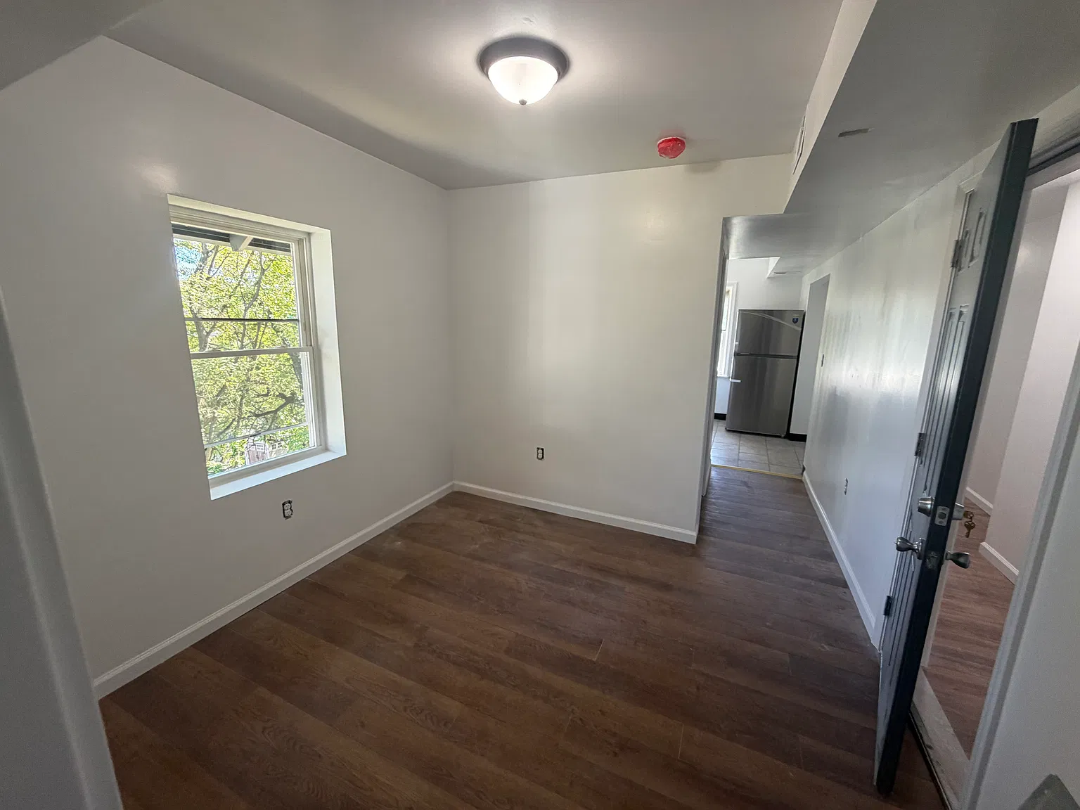 1 bed, $900 — Photo 2