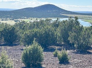 72 Dolly Rd, Vernon, AZ 85940