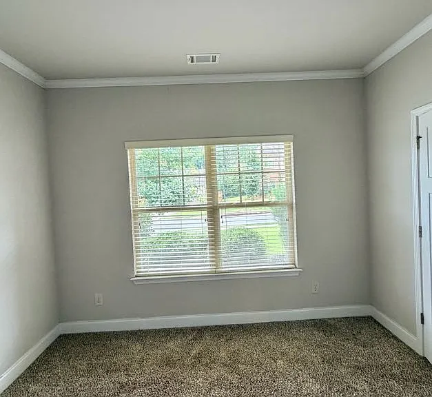 3290 Mulberry Cove Way — Photo 14