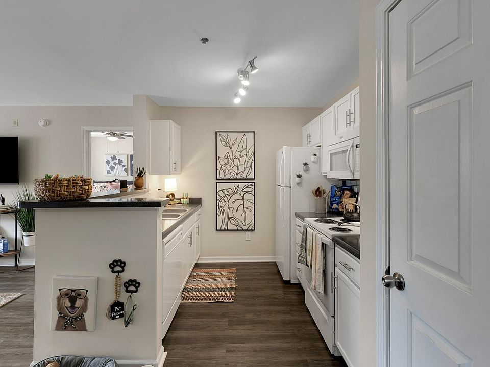 Standard Style Kitchen