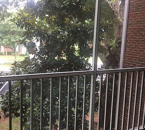 3rd image of 785 Oakleaf Plantation Pkwy Unit 424