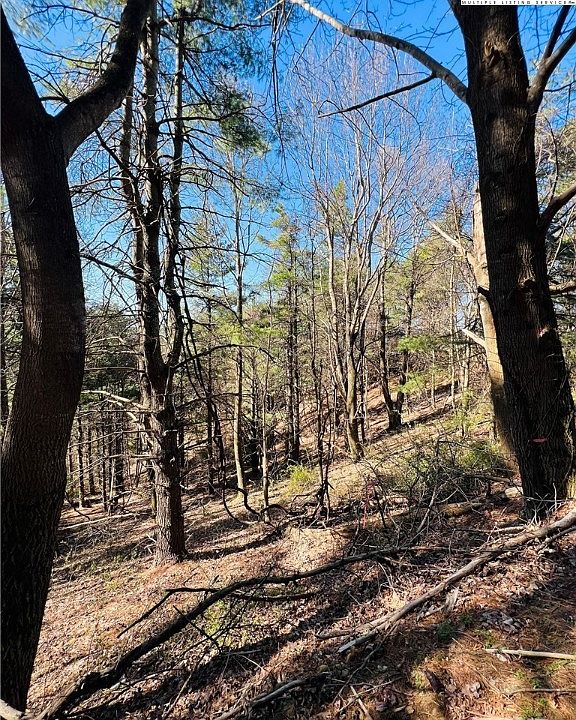 Cross Mountain Rd, Glendale Springs, NC 28629 MLS 242521 Zillow