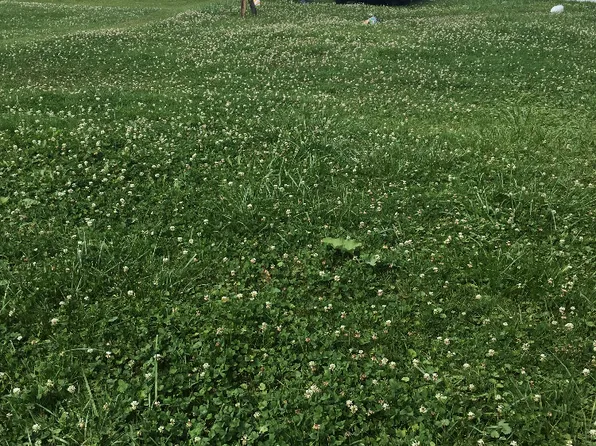 3715 Kinnear Ave, Indianapolis, IN 46218