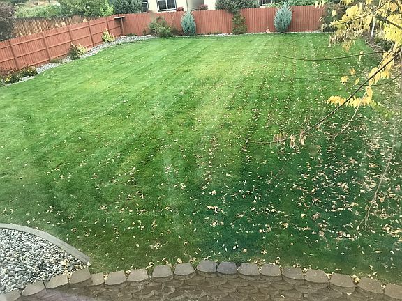 Fully fenced backyard 