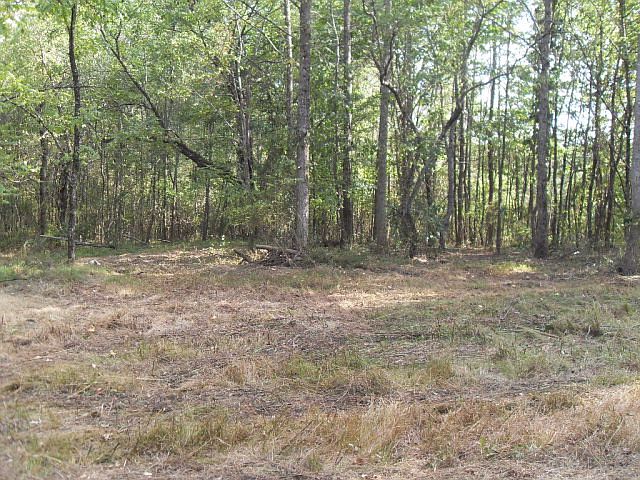 1st image of 1100 E Teems Rd Lot 1