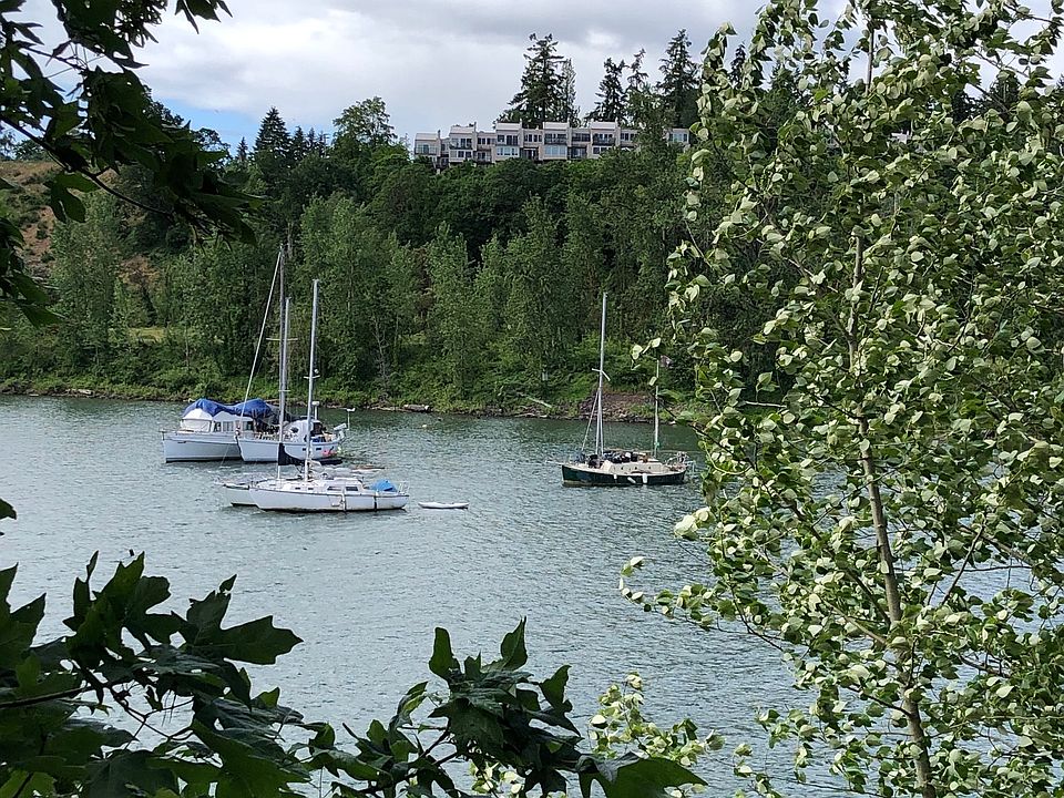 View from Willamette Cove showing Edgewater Condos above.