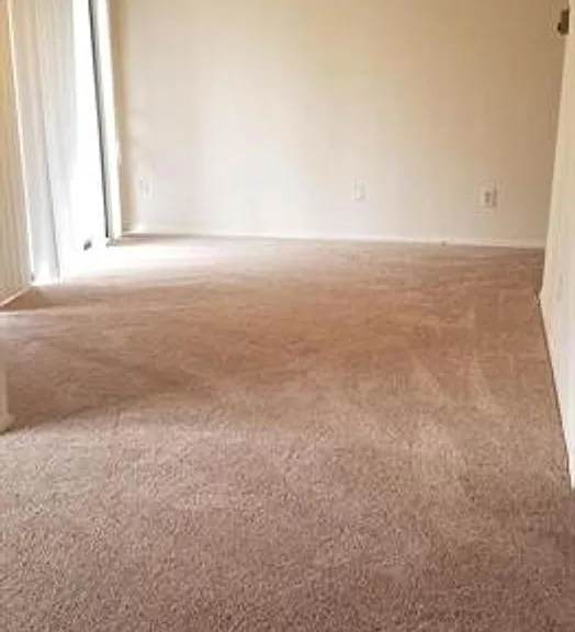 491 N Armistead St #101 — Photo 6
