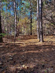 0 Cross Creek Dr #261, Rutherfordton, NC, 28139