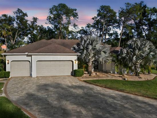 15802 Stanton Ln, Tampa, FL 33647